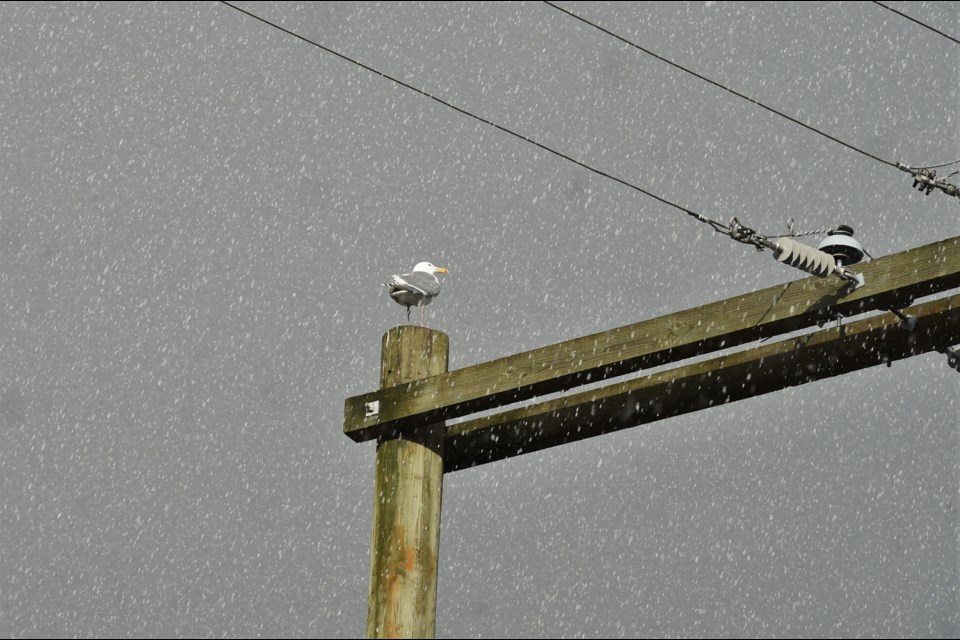 Hail only lasted for a short moment before moving on.