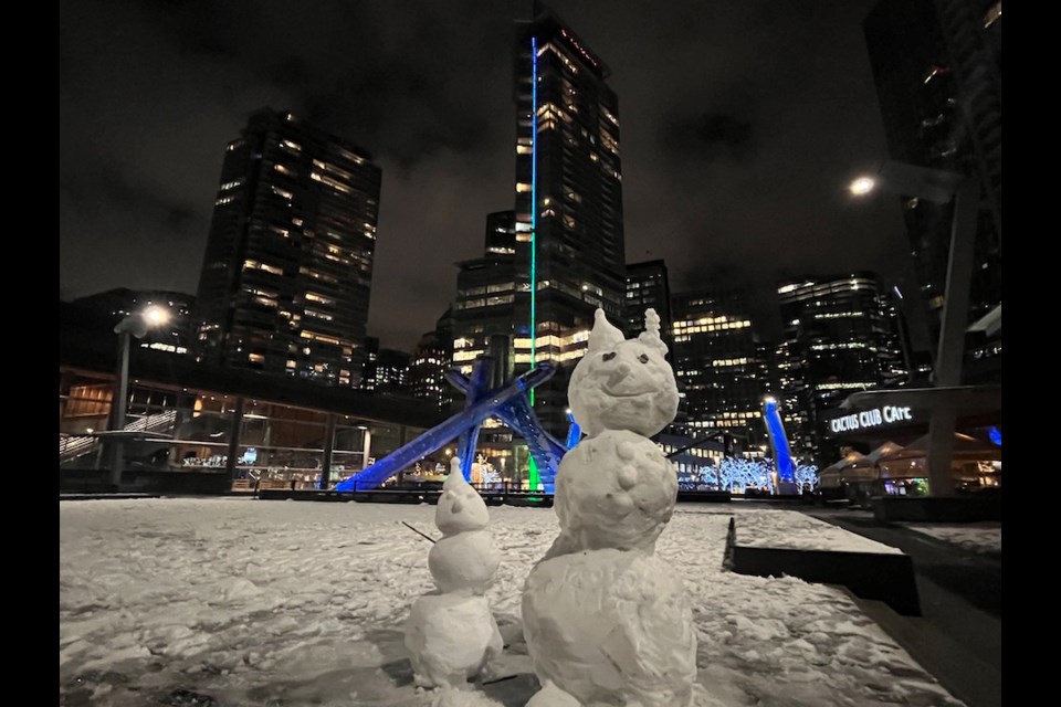 The Metro Vancouver weather forecast calls for more cold temperatures and snowfall. Locals played outside in the frosty weather on Feb. 2 and Feb. 3, 2025.