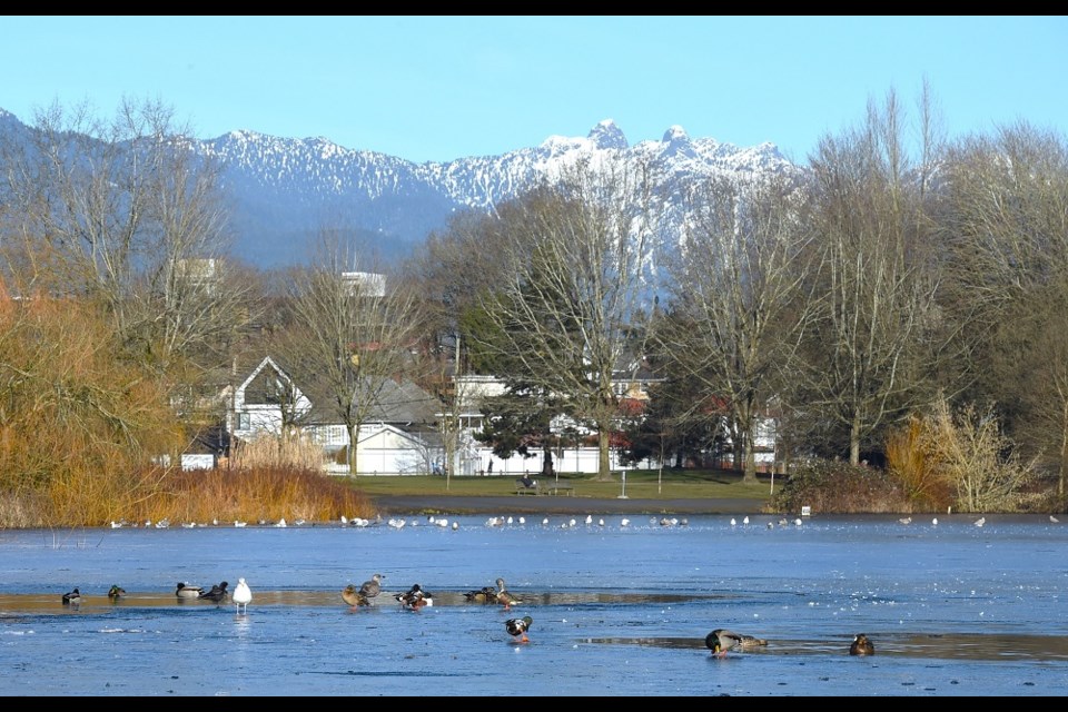 Vancouver may enjoy a few days of cold, dry, sunny weather, according to the current Weatherhood forecast.