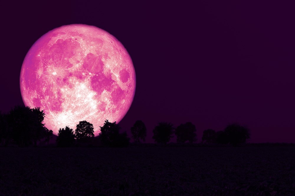 Vancouver weather: Massive pink full moon to rise locally