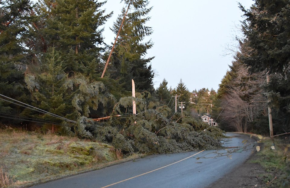 vancouver-storm-weather-windstorm-power-outages-november-4-2024