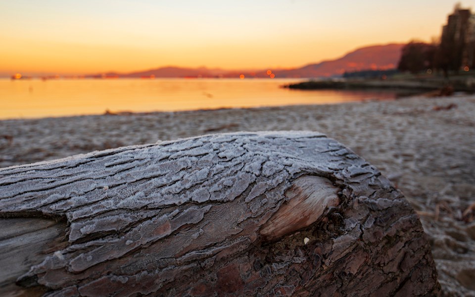 vancouver-weather-january-2024-frost-forming