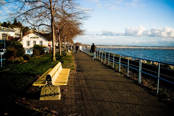 expo86bench