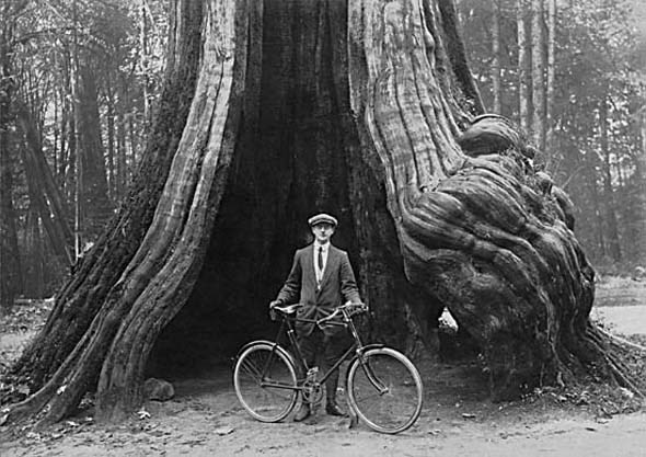 1911 - James Bennett "Ben" Fyer stands with his bicycle at the Hollow Tree in Stanley Park.