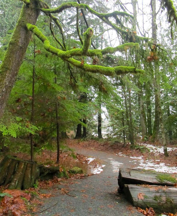 Super, Neighbours in British Columbia: Harrison Hot Springs 5 of 5