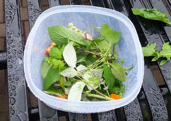 A container of herbs collected during class