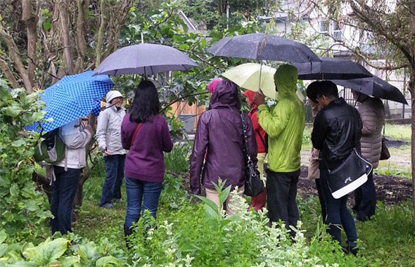 The class learns about herbs in the pouring rain