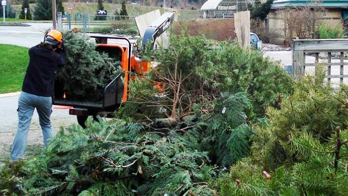  Trees are recycled at UBC Botanical Garden.