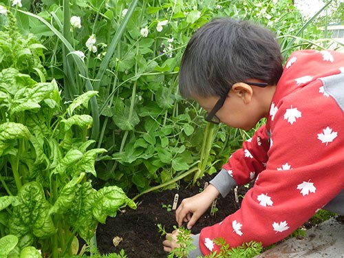  A student at John Norquay Elementary School takes part in the program.