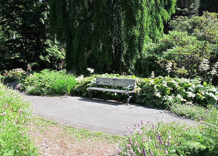  The Asian Garden within UBC Botanical Garden