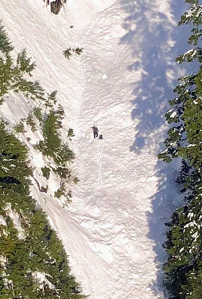  About two thirds of the way up, the mountainside, a hiker waits for North Shore Rescue members to bring him to safety. photo supplied, North Shore Rescue