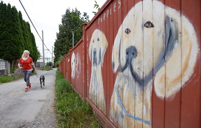  Margaret Halsey and her whippet, Smyth, on a walk past some of her dog portraits. Halsey is currently looking for more pet owners who'd like to take part in the next edition of her fence project. Photograph By RECORD FILES