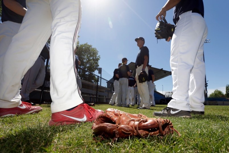 harbourcats-generic