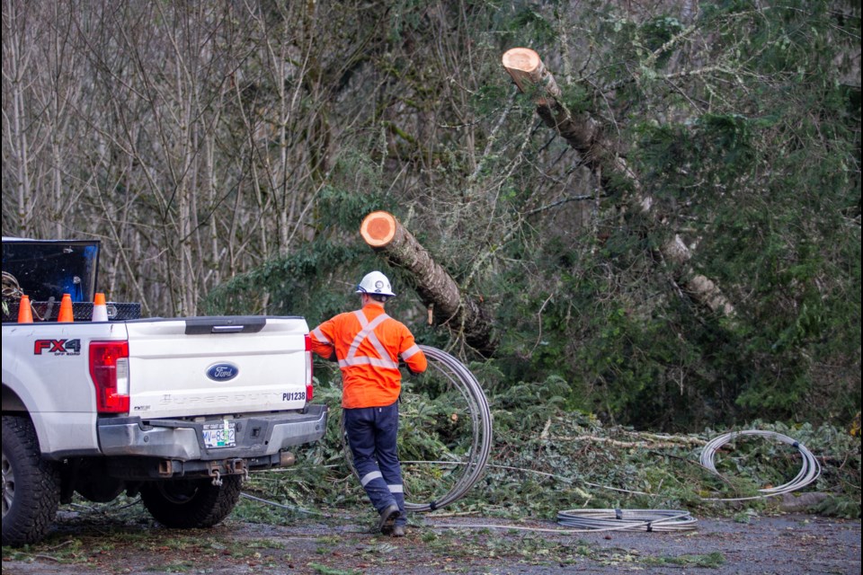 B.C. Hydro crews work to restore power on Sooke Road near Gillespie Road on Wednesday, Nov. 20, 2024. DARREN STONE, TIMES COLONIST 