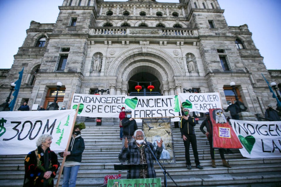 About 250 elders and families gathered on the steps of the B.C. legislature on Valentines Day for a demonstration against logging old growth. ADRIAN LAM, TIMES COLONIST 