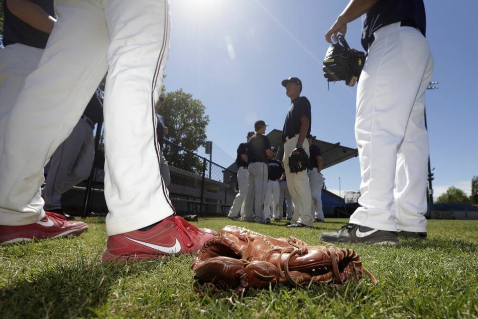 web1_victoria-harbourcats-generic