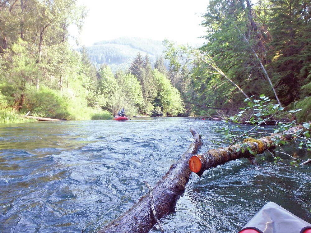 Mayor Warns Tubers To Stay Off Cowichan River - Victoria Times Colonist