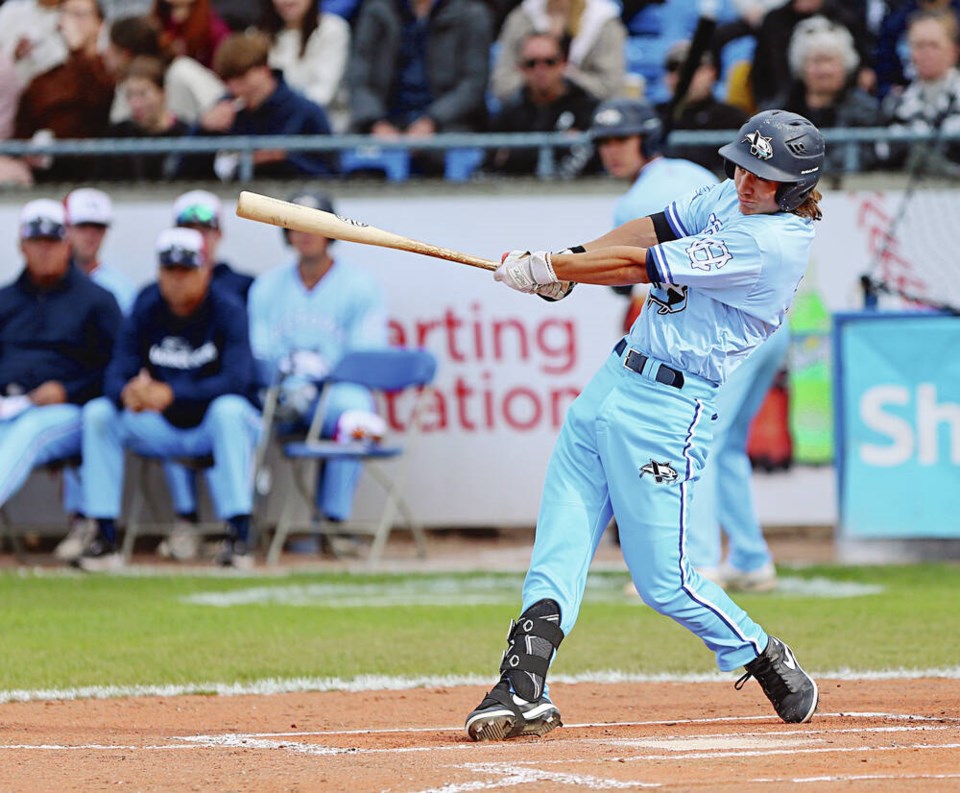 web1_vka-harbourcats-00060