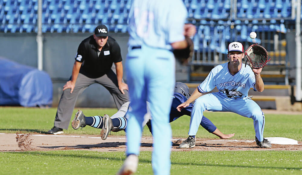 Victoria HarbourCats - Four former HarbourCats highlight World