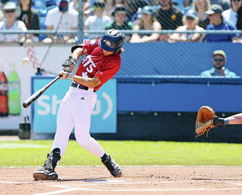 web1_vka-harbourcats-02396