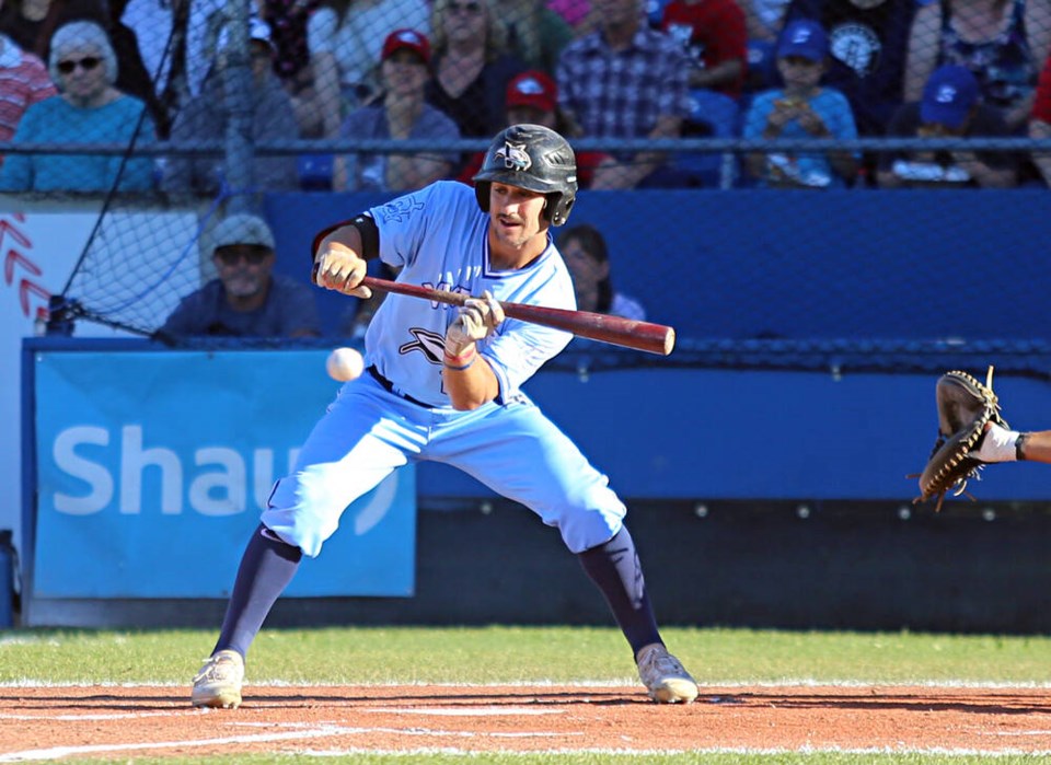 web1_vka-harbourcats-01226