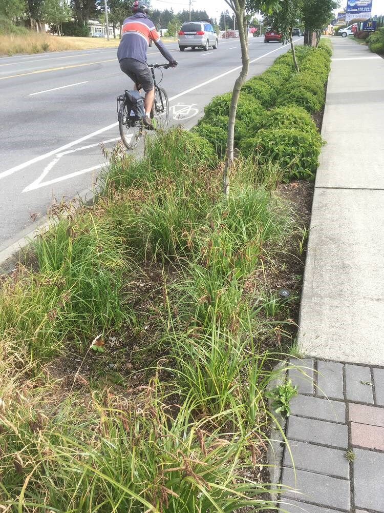 web1_colwood-bike-lane