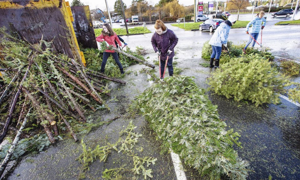 Where to dispose of your Christmas tree in Greater Victoria Victoria