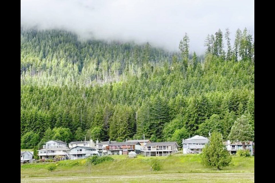 The village of Sayward is located between Campbell River and Port McNeill, with a population of about 350. VIA VILLAGE OF SAYWARD 
