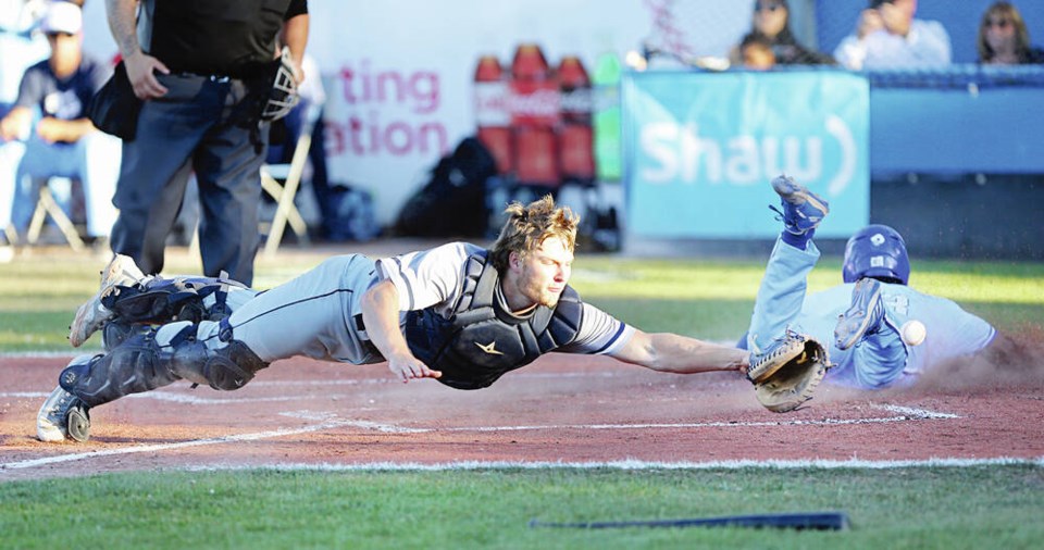 web1_vka-harbourcats-01171