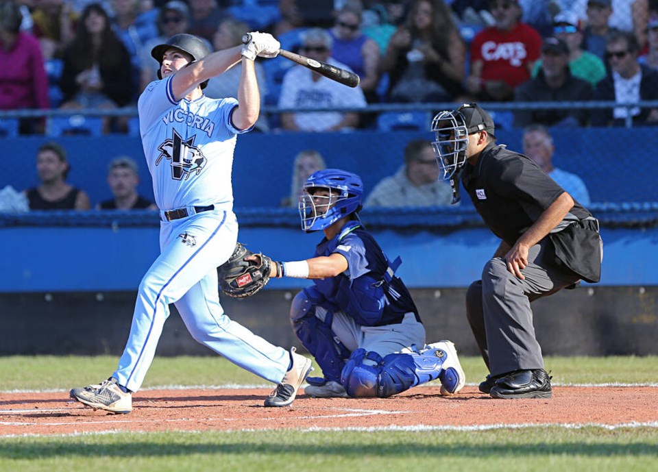 web1_vka-harbourcats-00534