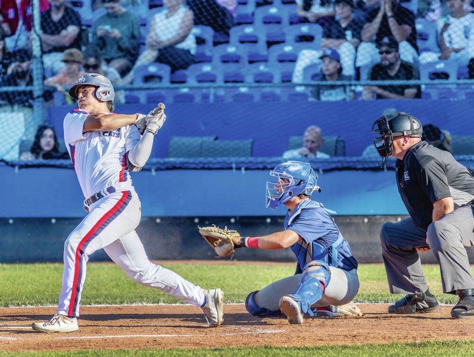 web1_vka-harbourcats-12013