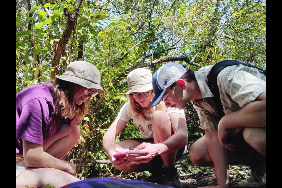 From left, Averyl Shifflett, Nolan Wood, and Will Campion take note of a beetle just off a trail in Beacon Hill Park as part of the Big Backyard BioBlitz on Monday, Aug. 5, 2024. COURTESY AVERYL SHIFFLET 