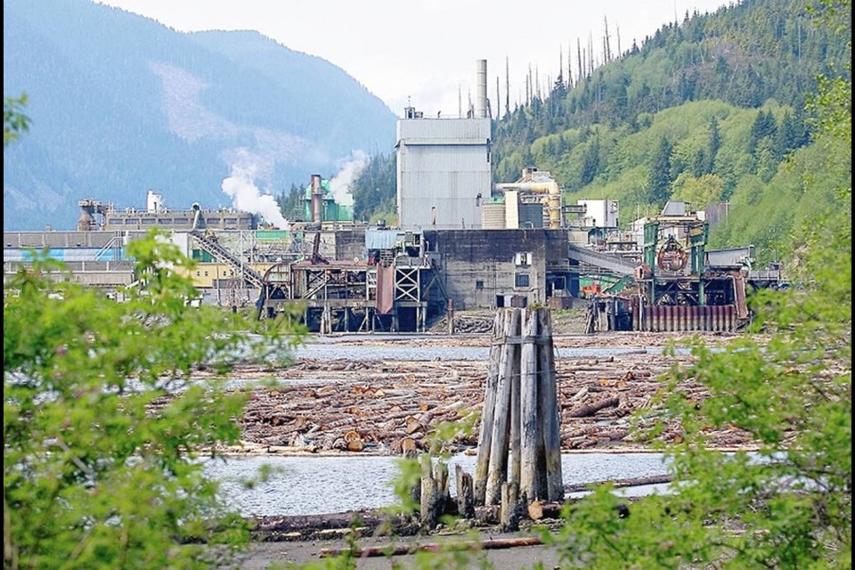 The Neucel plant when it reopened in May 2006. The mill was bought by Fulida in 2010-11. It closed in 2015. DARREN STONE, TIMES COLONIST 