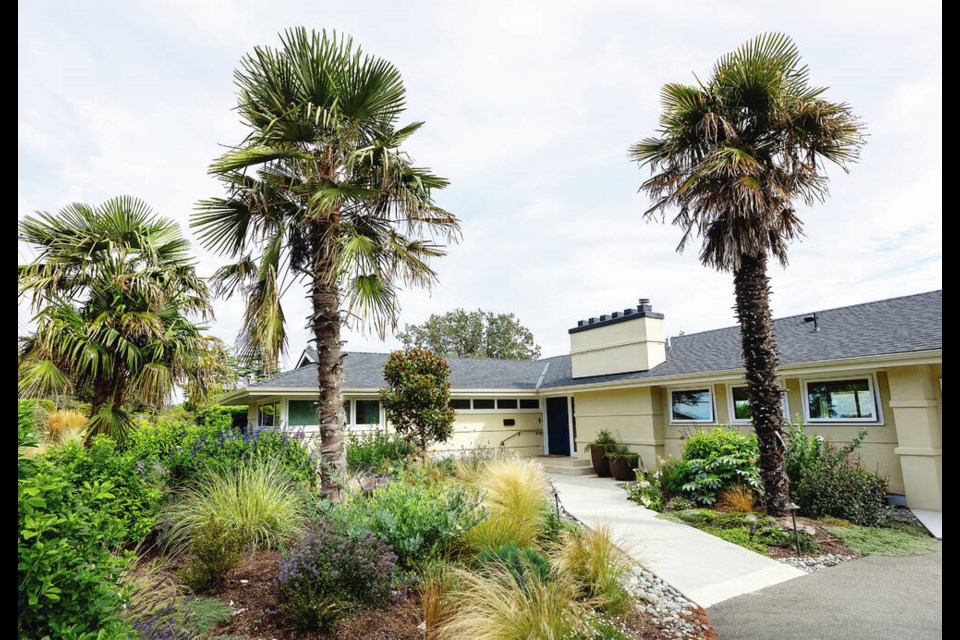 The completely remodelled, two-level home has been painted pale yellow and features palm trees and waving grasses in the front, while on the lower level at the back are vegetables mixed with ornamental perennials. The garden was designed by the owners along with Rebecca Lang of Any Thyme Gardening and it features includes four different grasses including Calamagrostism, Mexican feather grass, Anemanthele lessoniana and Miscanthus. 