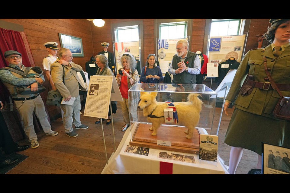 People come out to see Muggins, the famed Red Cross dog that raised thousands in Victoria during the First World War, at the Costume Museum at Government House in Victoria on June 12, 2024. As of Friday, the taxidermied dog will have a new home. ADRIAN LAM, TIMES COLONIST 