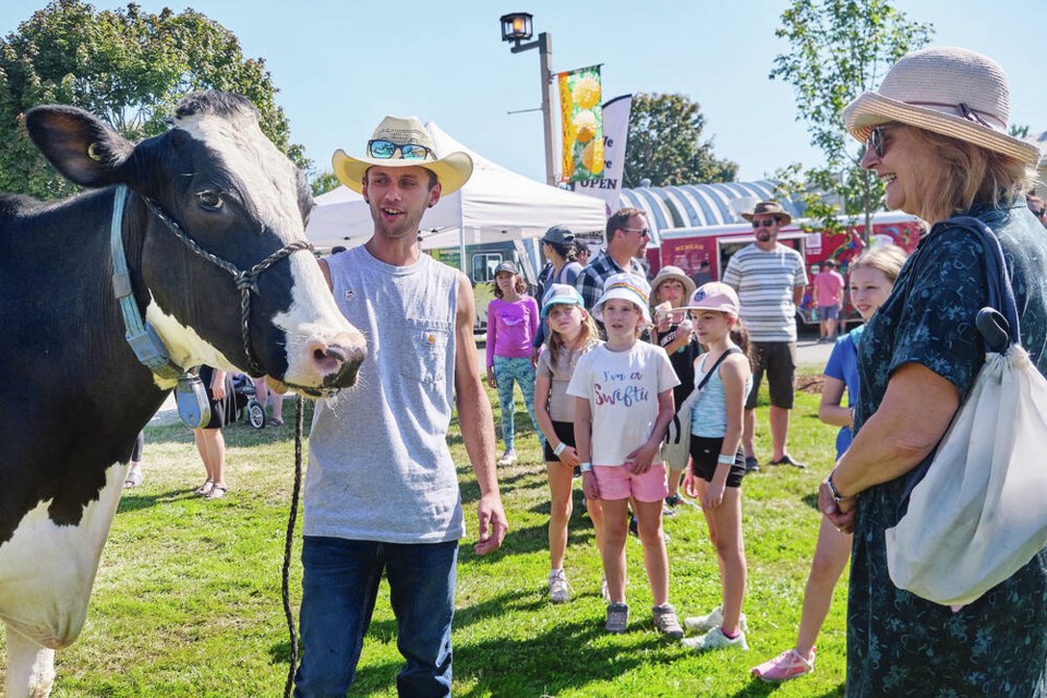 Kramer Lowe of Ladysmith-based KTK Transport shows off a Holstein cow named Fudge to a crowd ­gathered at the Saanich Fair on Saturday. TIMES COLONIST Aug. 31, 2024 