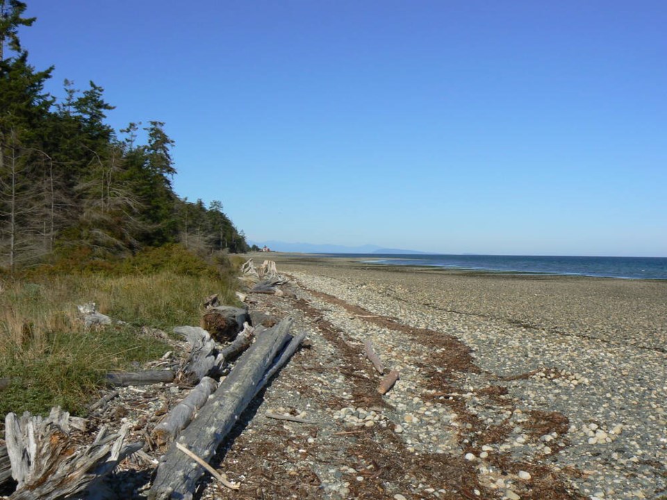 web1_beach_at_rathtrevor_provincial_park--1-