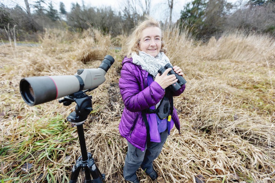 Ann Nightingale, co-ordinator of this year’s Christmas Bird Count, in Panama Flats Park on Thursday. 
DARREN STONE, TIMES COLONIST 