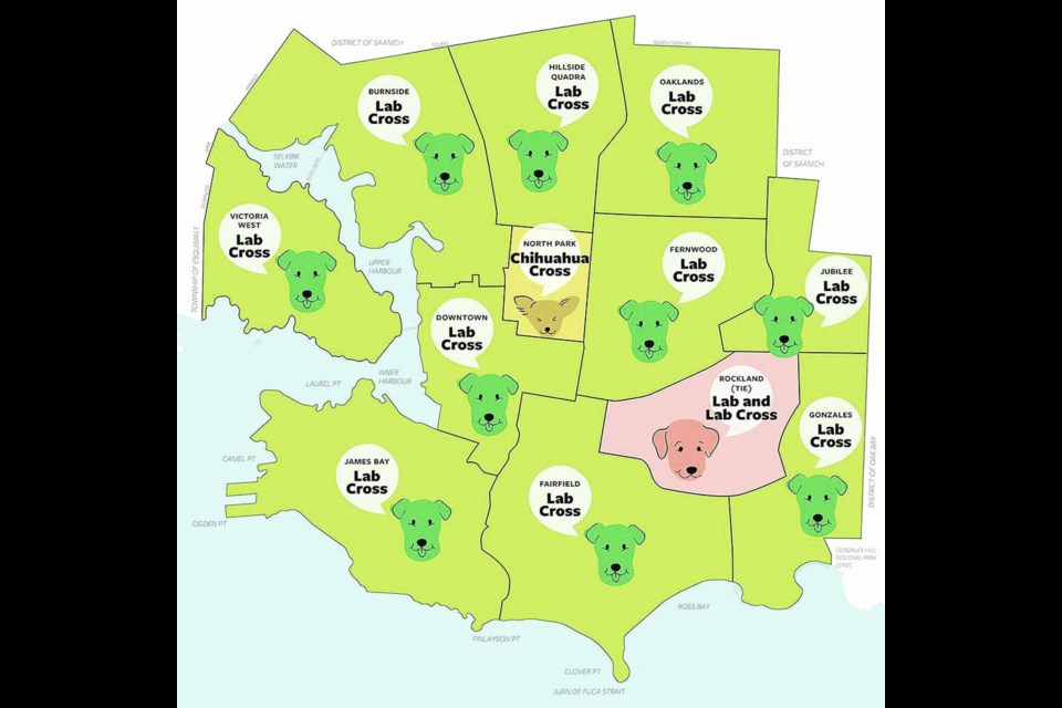 Favoured city dog breeds by neighbourhood. VIA CITY OF VICTORIA 