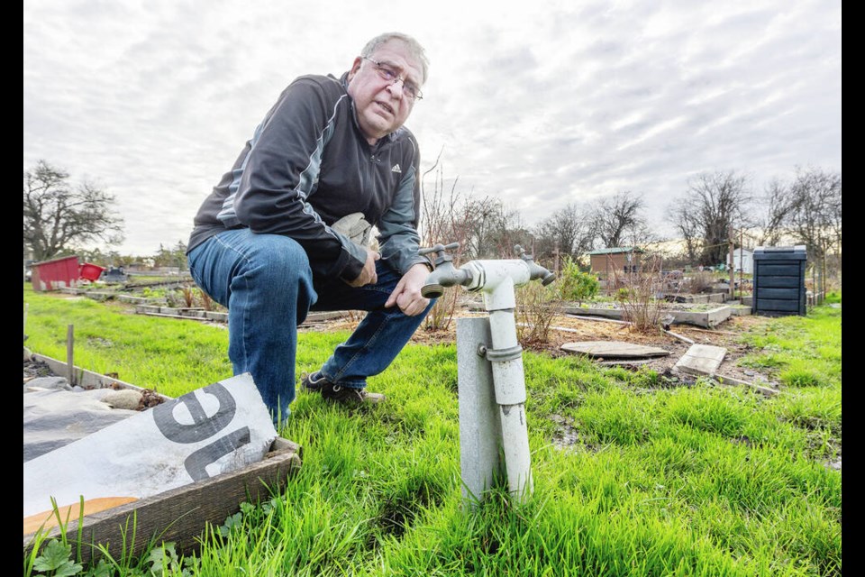 Water system manager Brian Faught with two remaining taps at Agnes Street Community Garden in Saanich. DARREN STONE, TIMES COLONIST 