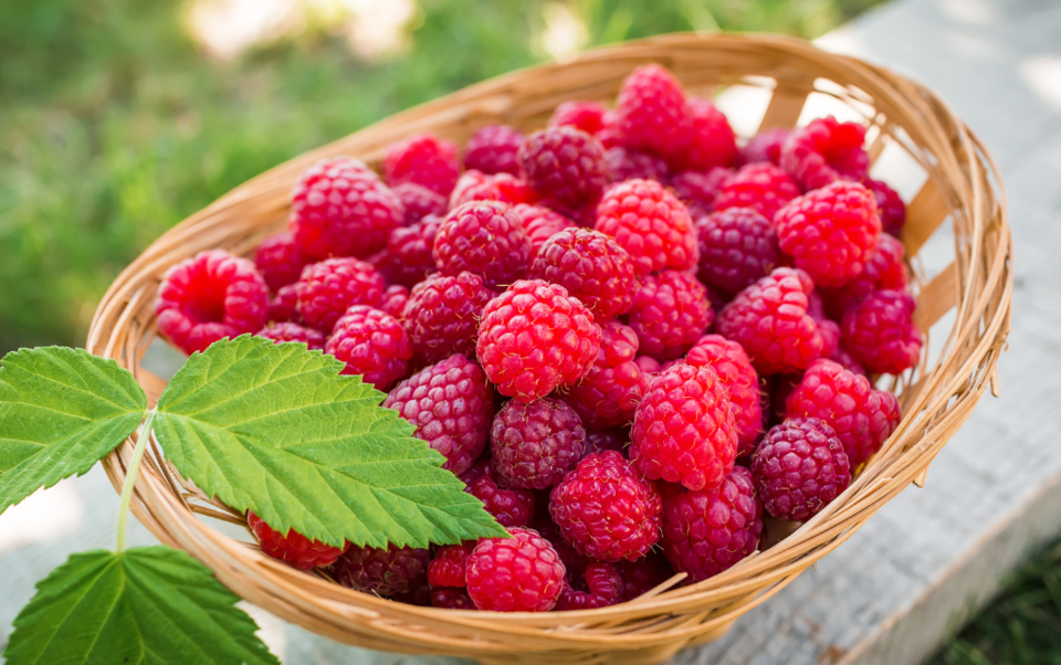 raspberries