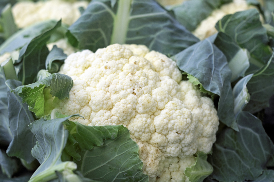 cauliflower