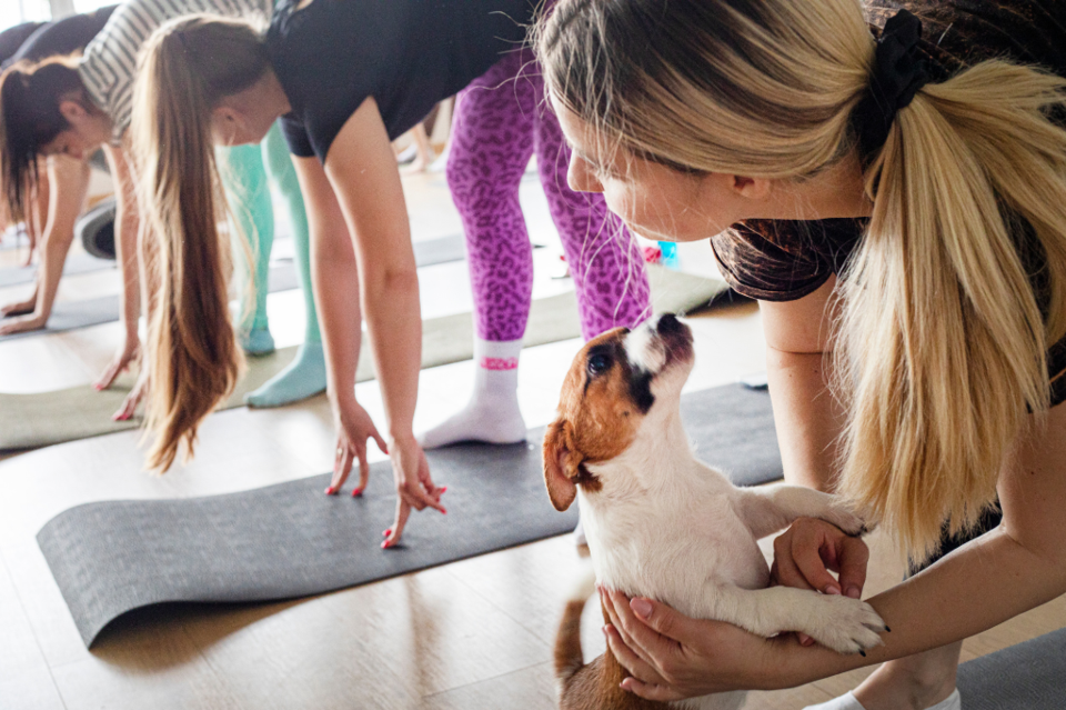 puppy-yoga