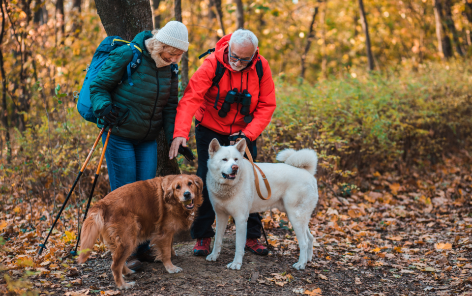 older-adults-walking-fall