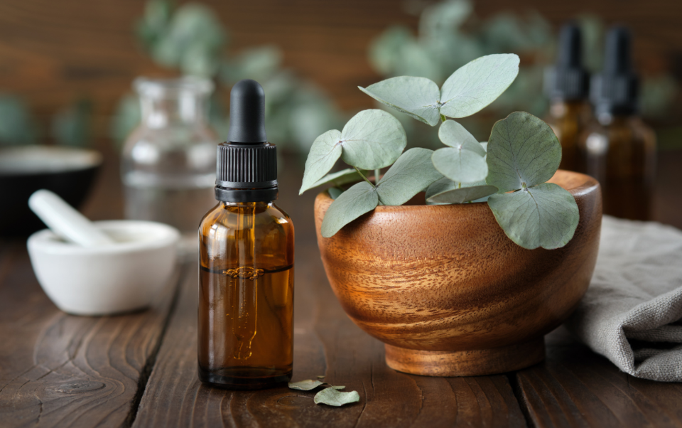 eucalyptus-essential-oil