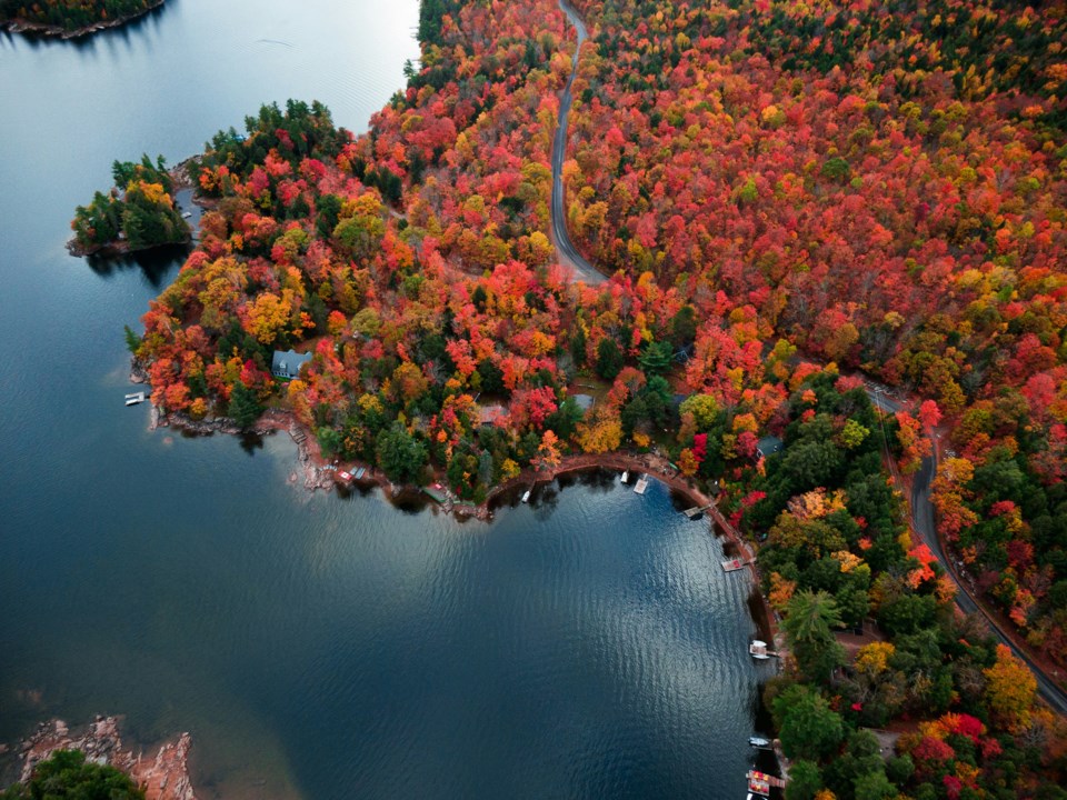 ontario-fall-roadtrip