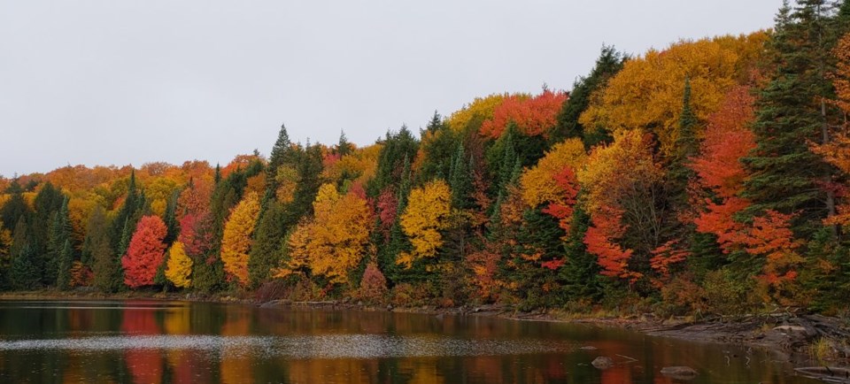 algonquin-park