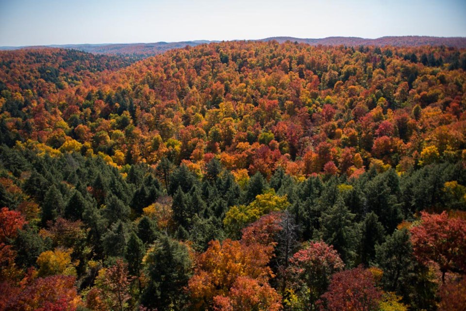 algonquin-provincial-park