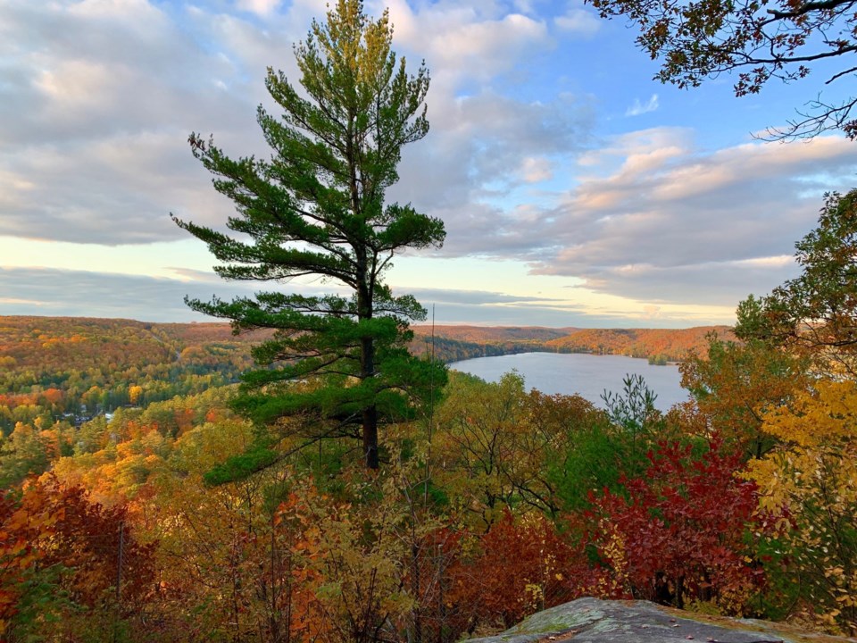 dorset-lookout-tower