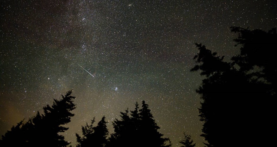 Here's how to watch the Perseids, 2024’s best meteor shower Village Life